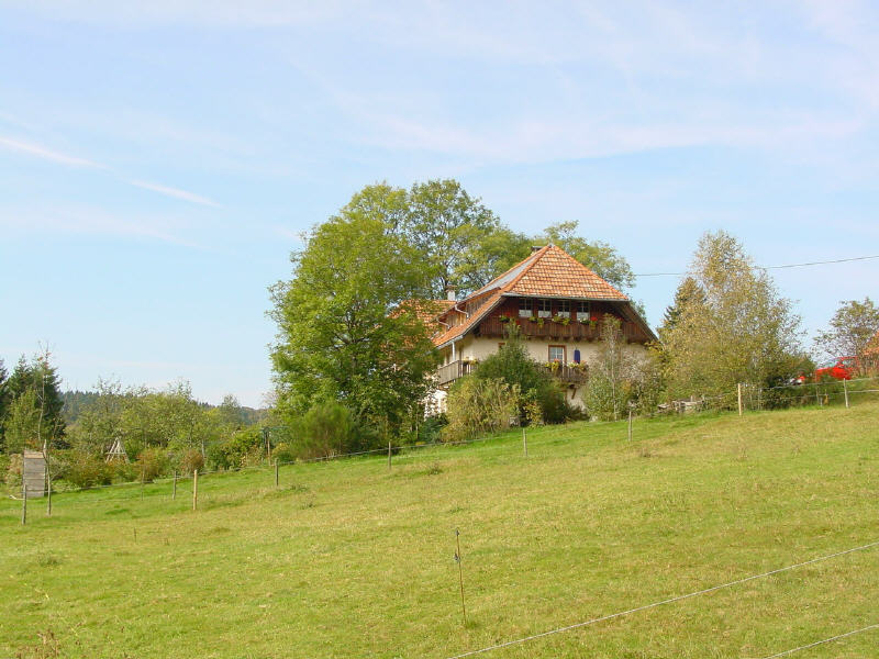 Blick vom sdstlichen Grundstcksende