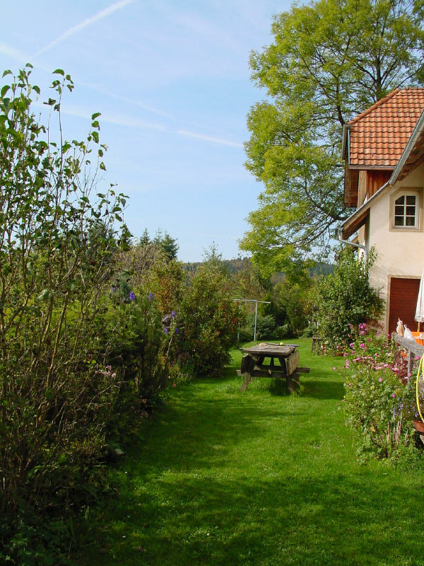Terrassenvorplatz