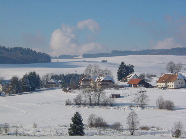 Blick von Osten zum Haus (Bildmitte)