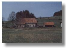 vergrössert