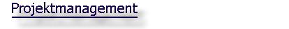 Projektmanagement